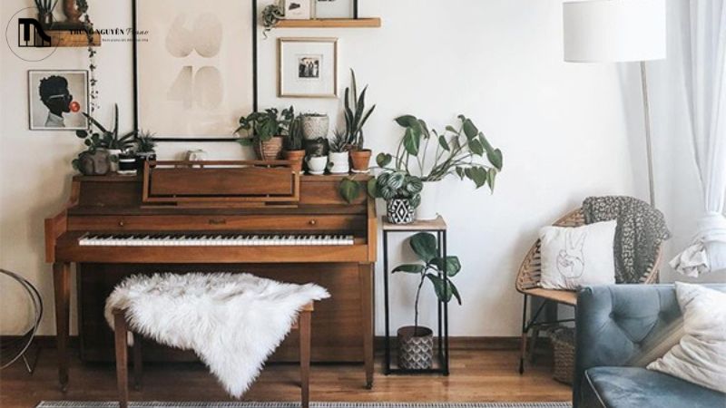 Cách đặt piano trong phòng khách: Tối ưu vị trí, âm thanh, không gian 2 Lưu ý khi chọn vị trí đặt piano trong phòng khách