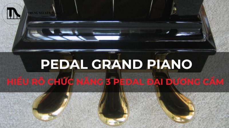 Pedal Grand Piano: Hiểu rõ chức năng 3 Pedal đại dương cầm