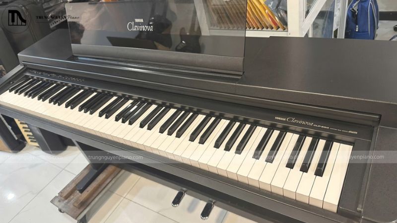 So với mua mới, mua piano điện cũ vẫn có lợi về giá nhưng cần cân nhắc kỹ