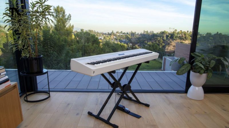 Phụ kiện đề xuất để tối ưu trải nghiệm với Roland FP-30X