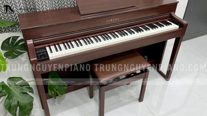Tổng quan về Yamaha CLP-535