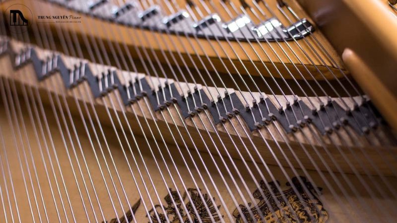 Các bước căng chỉnh dây đàn grand piano