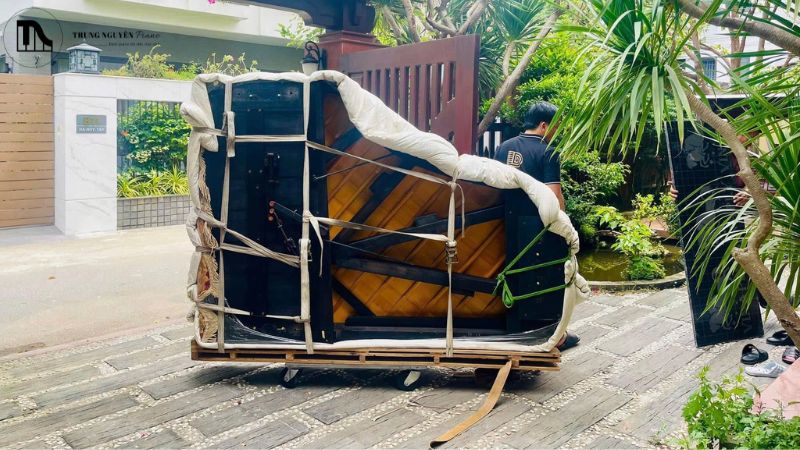 Quy trình vận chuyển piano chuyên nghiệp