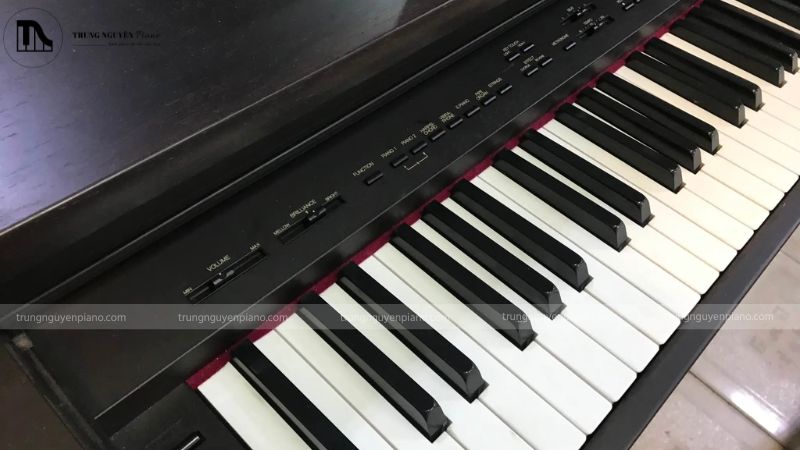 Bàn phím Roland HP2800 được đánh giá cao về độ bền và cảm giác chơi