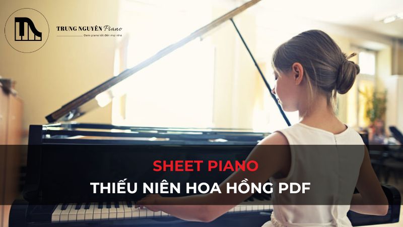 Sheet piano Thiếu Niên Hoa Hồng PDF: Tải miễn phí Full HD