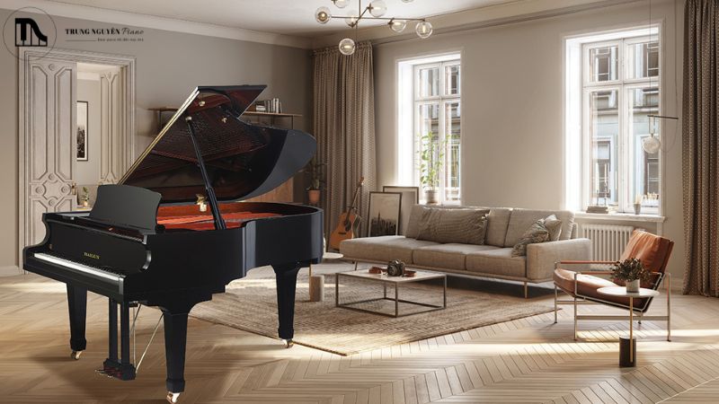 Bỏ dưỡng grand piano có khó khăn không