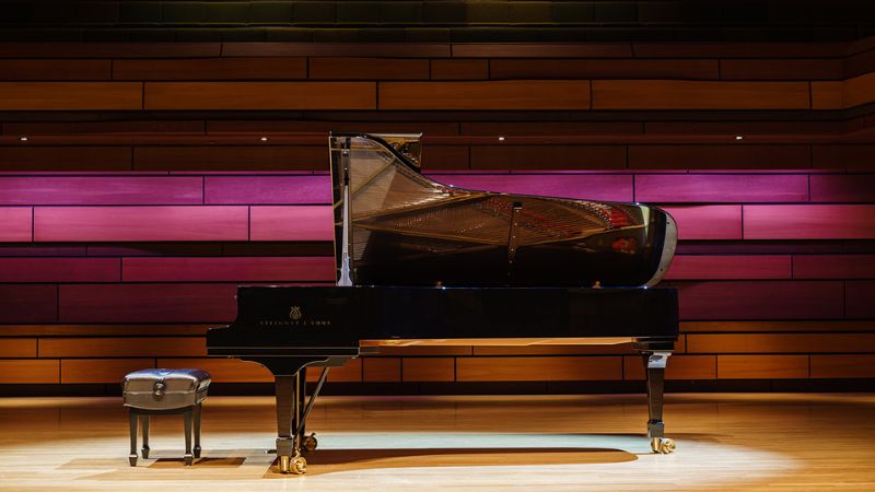 Âm thanh của đàn có khả năng lấp đầy không gian