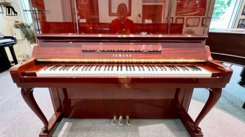 Lý do nên mua đàn piano ở Trung Nguyên Piano