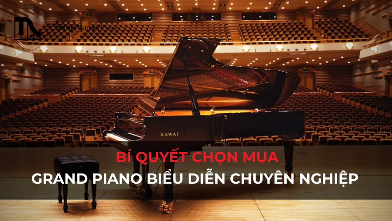 Tiêu chí chọn mua Grand Piano biểu diễn chuyên nghiệp nhất