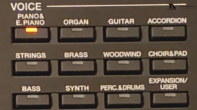 Lựa chọn âm sắc trên đàn organ