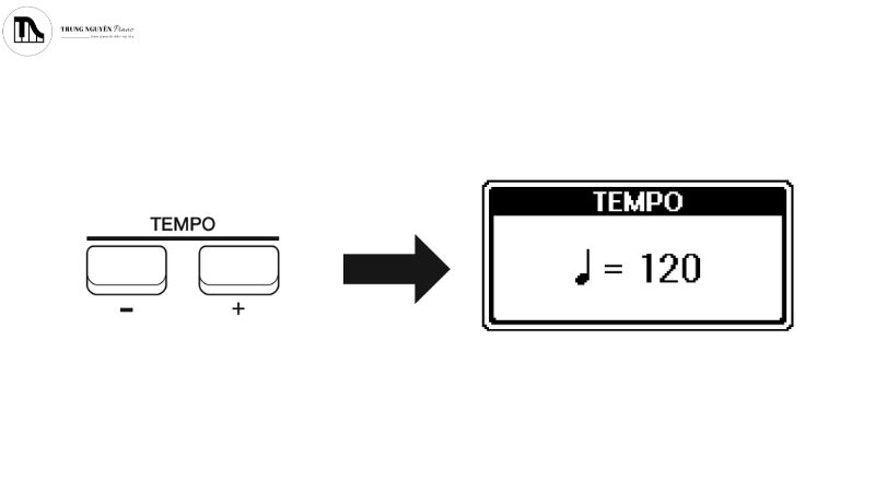 Nút điều chỉnh Tempo (+/-)