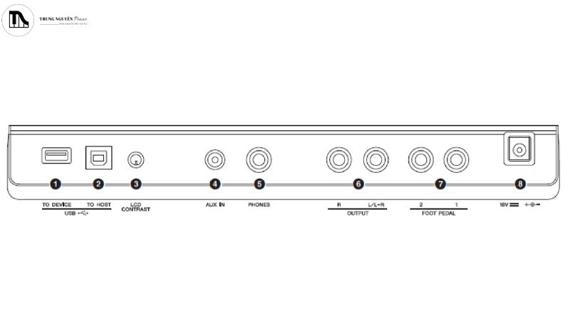 Các cổng kết nối ở phía sau đàn organ