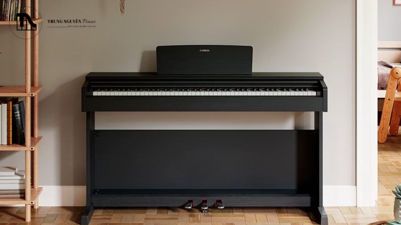 Hướng dẫn kiểm tra đàn piano điện cũ