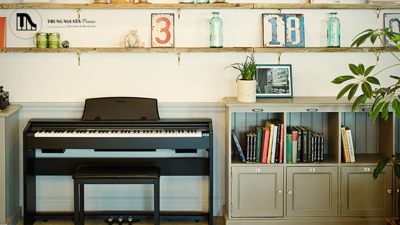 Bàn phím là yếu tố quan trọng thứ hai, quyết định cảm giác phím và ảnh hưởng trực tiếp đến kỹ thuật luyện ngón của bạn