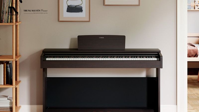 Ngoài âm thanh và bàn phím, các tính năng piano điện cũng rất hữu ích