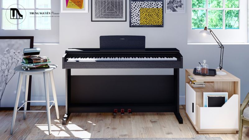 Thị trường thương hiệu piano điện tại Việt Nam khá đa dạng