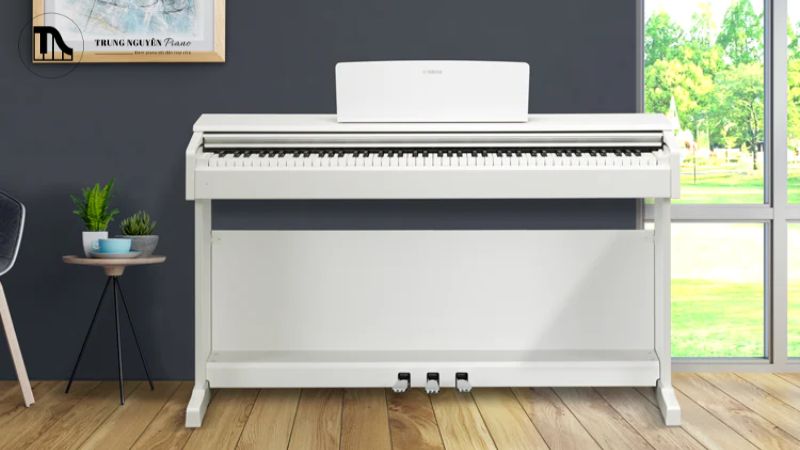 Mua piano điện online qua các sàn TMĐT