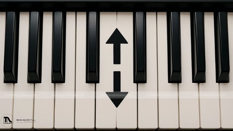 Hướng dẫn Transpose đàn organ - Chỉnh tông chuẩn cho người mới 1 Transpose đàn organ giúp bạn chơi một bản nhạc ở một tông khác