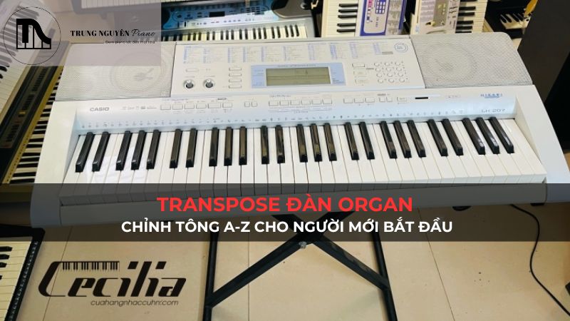 Transpose đàn organ: Chỉnh tông A-Z cho người mới bắt đầu