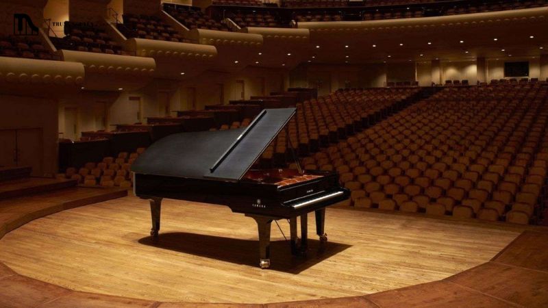 Địa chỉ mua đàn Grand Piano
