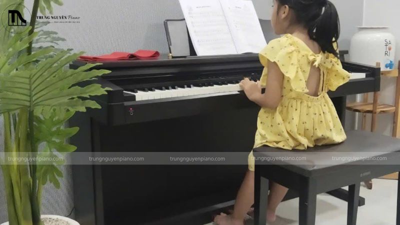 Top 7 piano điện gia đình đáng mua 2025: Tư vấn chi tiết 5 Địa chỉ mua đàn piano điện cho gia đình uy tín