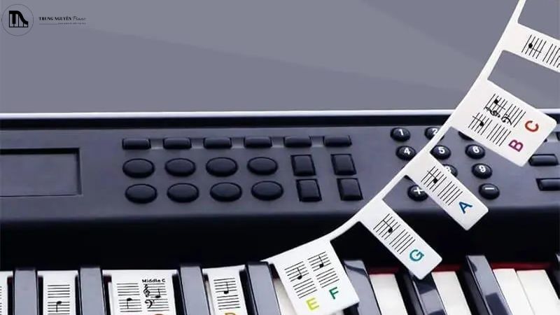 Hãy dành thời gian luyện tập tìm nhanh các nốt này trên đàn