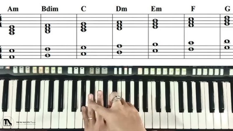 Luyện tập hợp âm cho tay trái trên phím đàn