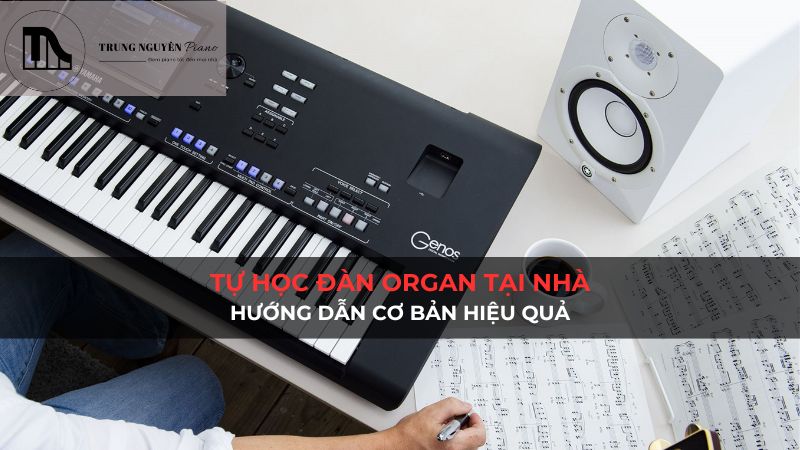 Tự học đàn organ tại nhà: Hướng dẫn cơ bản hiệu quả