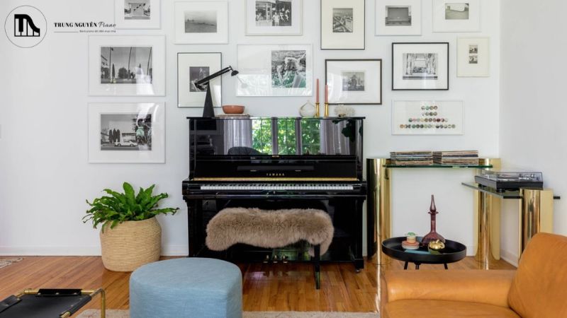 Cách chọn mua đàn theo nhu cầu sử dụng