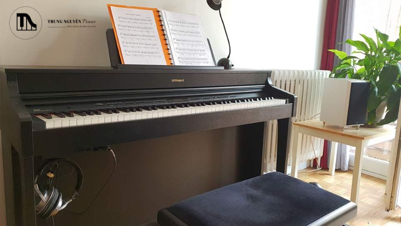 Ngân sách hạn chế không có nghĩa là bạn phải chấp nhận một cây đàn có tính năng cơ bản