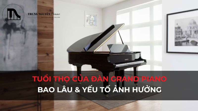 Tuổi thọ đàn Grand Piano: Bao lâu và yếu tố ảnh hưởng