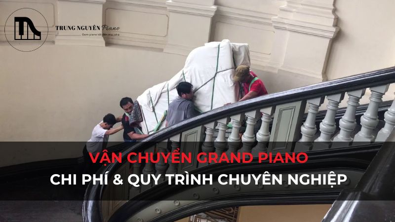 Vận chuyển Grand Piano: Chi phí & Quy trình chuyên nghiệp