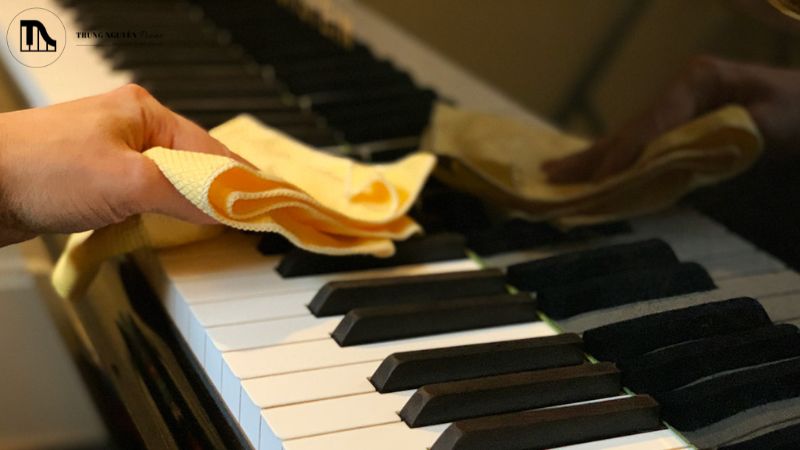 Vệ sinh grand piano