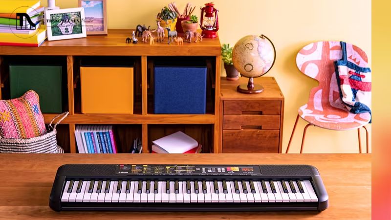 Model này được nhiều phụ huynh tin tưởng lựa chọn cho con em mình khi các bé mới chập chững làm quen với âm nhạc