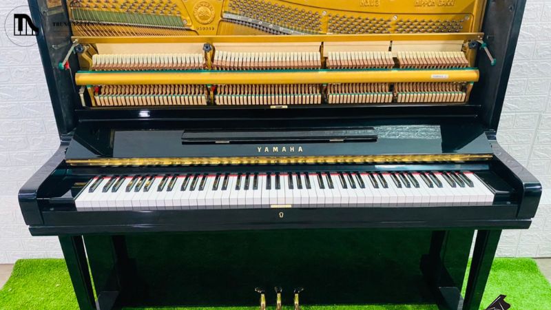 Ai nên mua Yamaha U3F