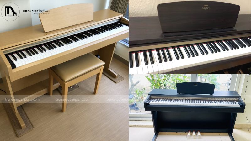 Đánh giá đàn piano điện Yamaha YDP-161: Có nên mua không? 1 Các phiên bản màu sắc của Yamaha YDP-161
