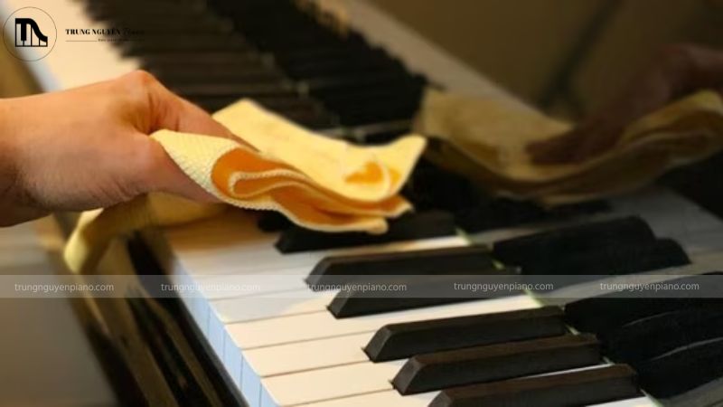 Đánh giá Piano Điện Roland HP203: Có nên mua? 5 Sử dụng và bảo quản đàn piano sao cho luôn bền đẹp