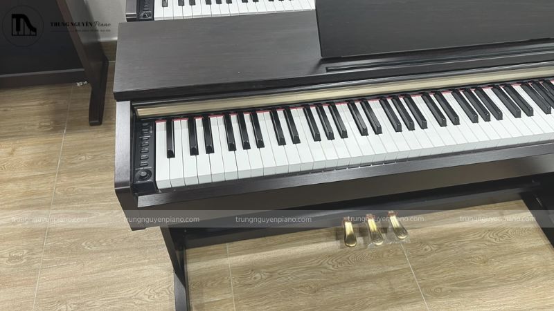 Đánh giá đàn piano điện Yamaha YDP-161: Có nên mua không? 7 Cụm 3 pedal của Yamaha YDP-161