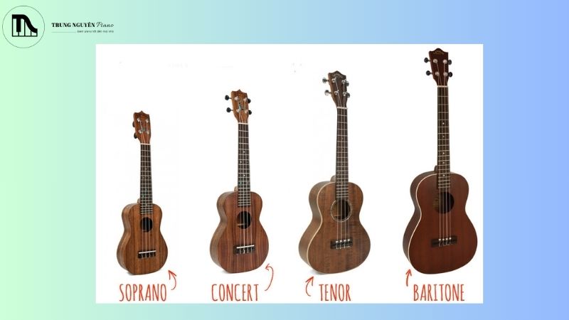 Các loại Ukulele cho người mới bắt đầu
