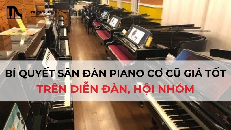Bí quyết săn đàn Piano Cơ cũ giá tốt trên Diễn đàn, Hội nhóm