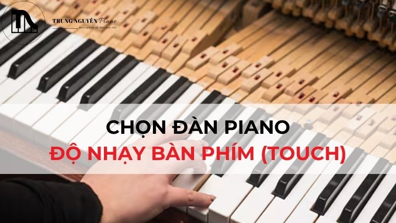 Chọn Đàn Piano: Độ Nhạy Bàn Phím (Touch) Mức Độ & Ý Nghĩa