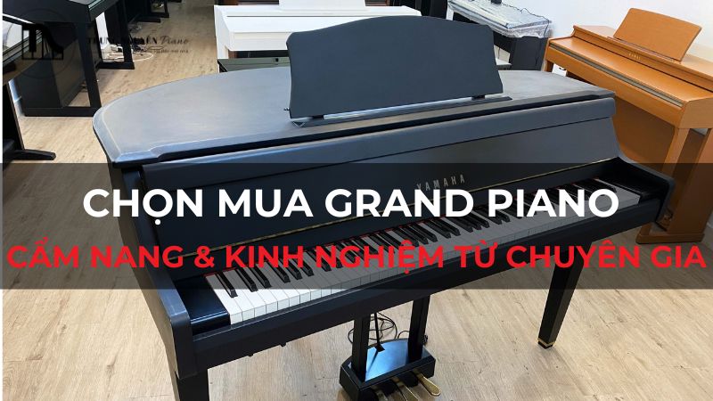 Chọn mua Grand Piano: Cẩm nang & Kinh nghiệm từ chuyên gia