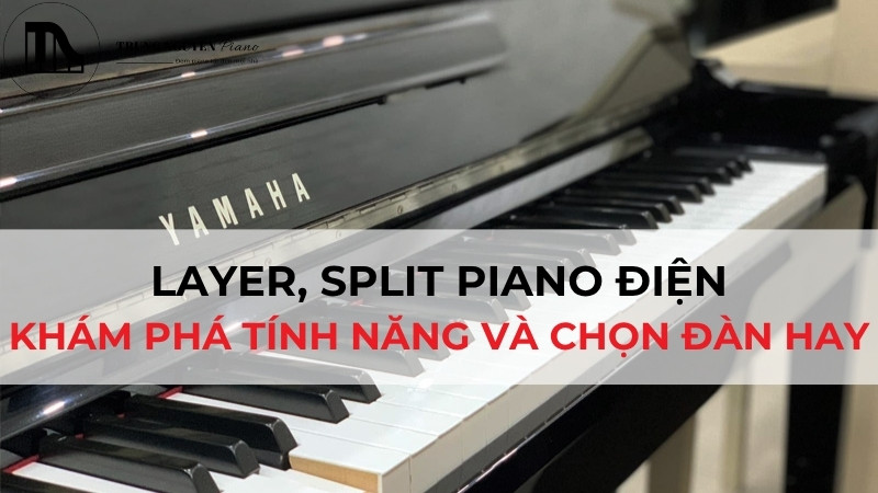 Layer, Split Piano Điện: Khám Phá Tính Năng & Chọn Đàn Hay