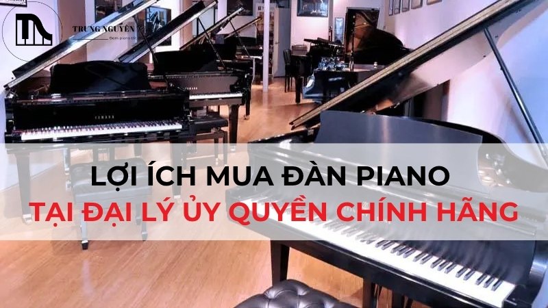 Lợi ích mua đàn Piano tại đại lý ủy quyền chính hãng: An tâm