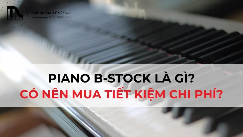 Piano B-Stock Là Gì? Có Nên Mua Tiết Kiệm Chi Phí?