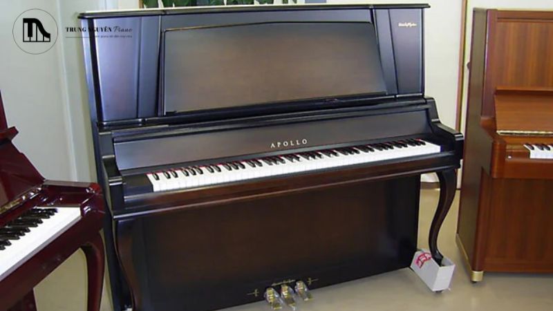 Bộ máy của đàn Apollo thường mang lại cảm giác phím khá đầm tay, độ nặng vừa phải