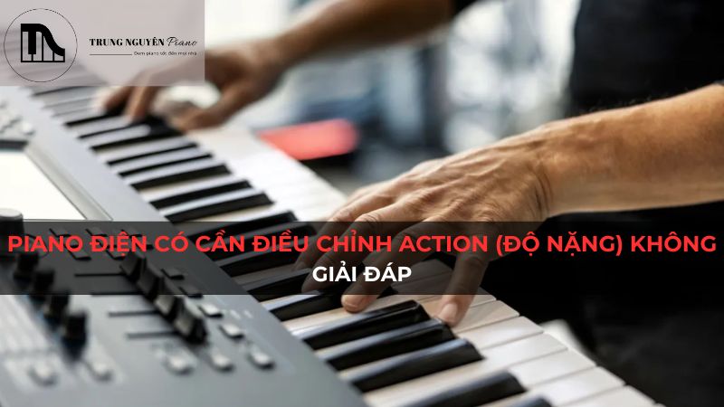 Action piano điện (độ nặng) có cần điều chỉnh không: Giải đáp