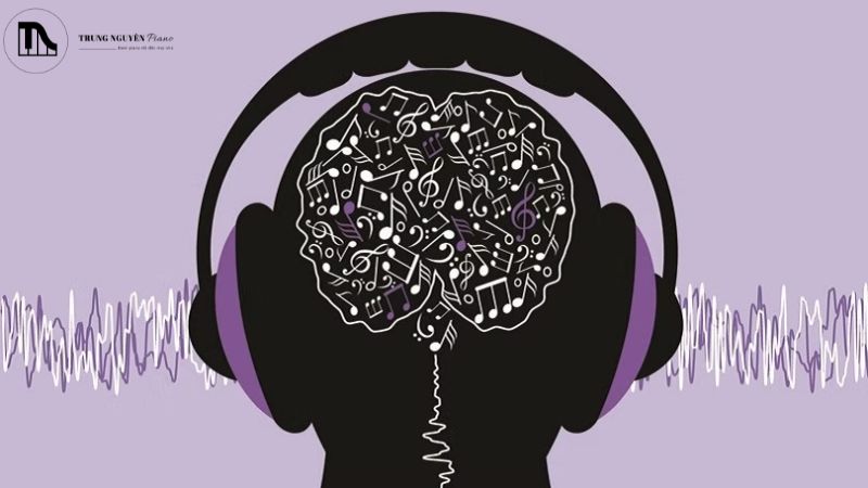 Âm nhạc và não bộ