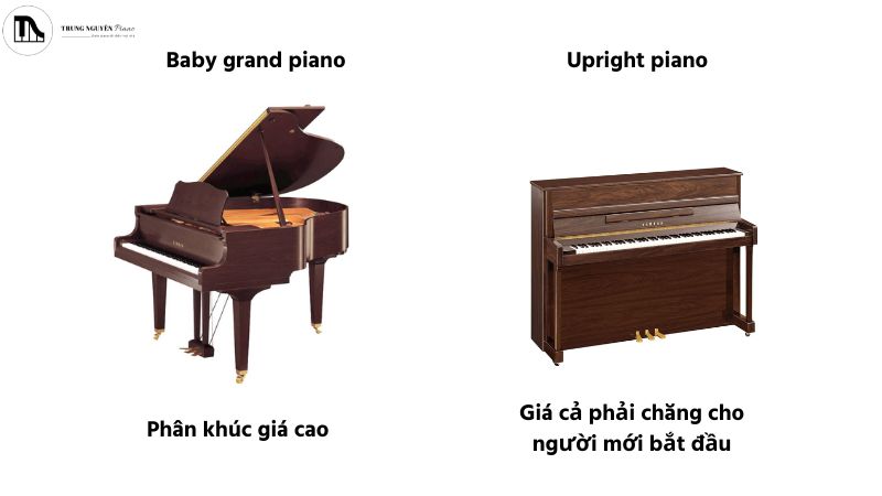 Baby grand piano có giá mua ban đầu cao