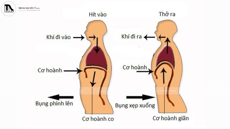 Làm ấm giọng trước khi hát giúp thanh quản hoạt động linh hoạt hơn, giảm nguy cơ chấn thương và nâng cao chất lượng biểu diễn.